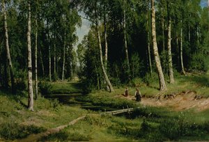 In The Birch Tree Forest